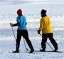 Cross-country Skiing